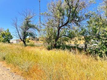 GÜVENAY - ÇORUM SAMSUN YOLU 4.520 M² SATILIK TARLA