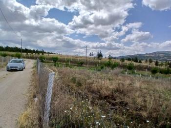 GÜVENAY - ÇORUM CEMİLBEY YOLU ÜZERİ ANAYOL YANI SATILIK BAHÇE 