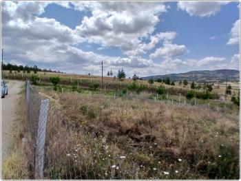 ÇORUM CEMİLBEY YOLU ÜZERİ ANA YOL ÜZERİ SATILIK BAHÇE
