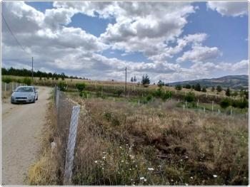 ÇORUM CEMİLBEY YOLU ÜZERİ ANA YOL ÜZERİ SATILIK BAHÇE