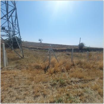 GÜVENAY - ÇORUM BÜĞET MEVKİİ BARAJ KUZEYİ SATILIK BAHÇE