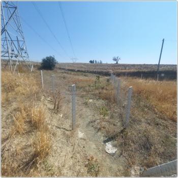 GÜVENAY - ÇORUM BÜĞET MEVKİİ BARAJ KUZEYİ SATILIK BAHÇE