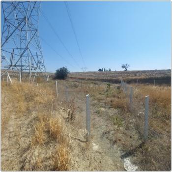 GÜVENAY - ÇORUM BÜĞET MEVKİİ BARAJ KUZEYİ SATILIK BAHÇE