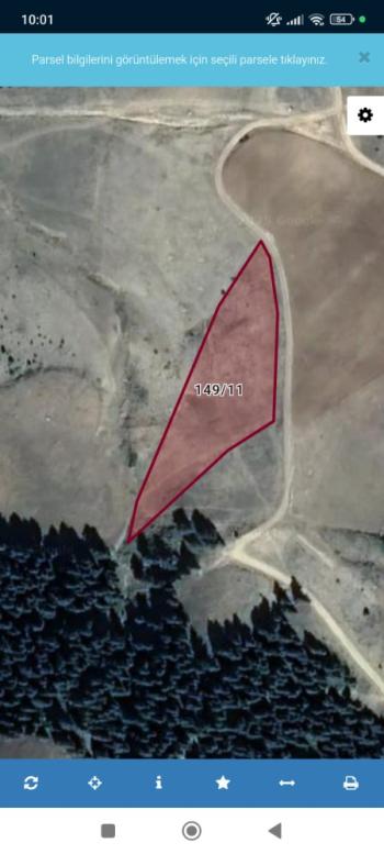 ÇORUM İSKİLİP AKPINAR KÖYÜ 3765 M² SATILIK TARLA