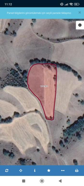 AMASYA TAŞOVA YEŞİLYURT MEVKİİ – 5 DÖNÜM SATILIK TARLA