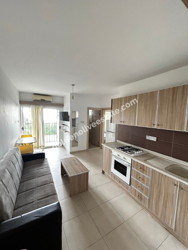 KİRALİK 1+1 DAİRE