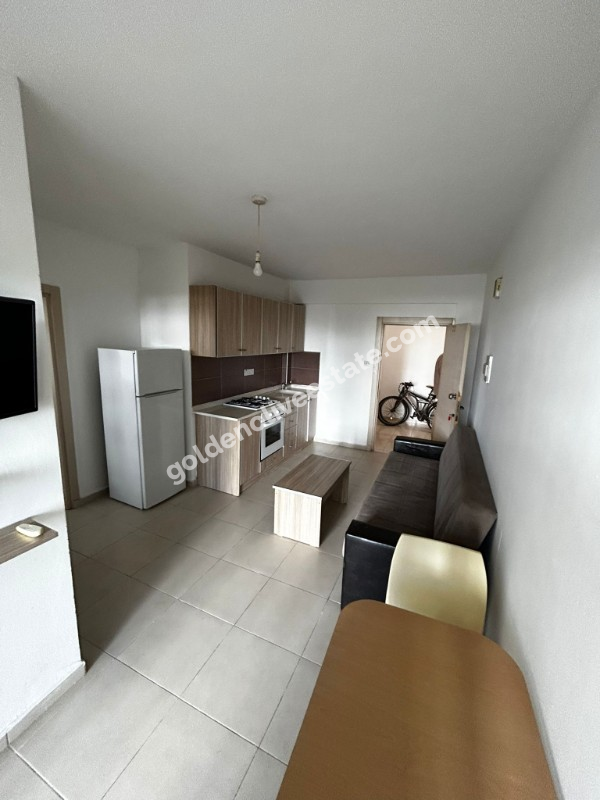 KİRALİK 1+1 DAİRE