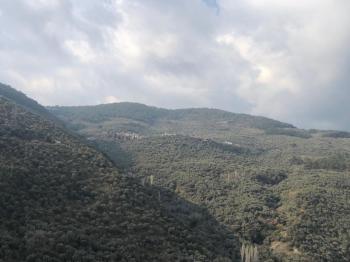 Antre Emlak'tan Satılık Bayındır Sarıyurt Başdeğirmen Mevkiinde 565 M2 Zeytinlik