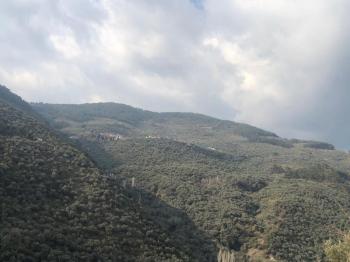 Antre Emlak'tan Satılık Bayındır Sarıyurt Başdeğirmen Mevkiinde 565 M2 Zeytinlik