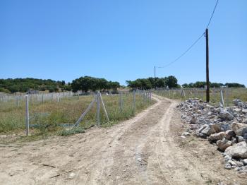 GÜVENAY - ÇORUM ESKİEKİN KÖYÜNE YAKIN SATILIK HOBİ BAHÇELERİ 