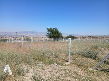 GÜVENAY - ÇORUM ESKİEKİN KÖYÜNE YAKIN SATILIK HOBİ BAHÇELERİ 