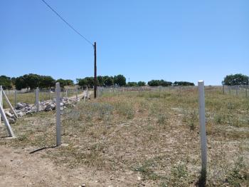 GÜVENAY - ÇORUM ESKİEKİN KÖYÜNE YAKIN SATILIK HOBİ BAHÇELERİ 