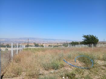 GÜVENAY - ÇORUM ESKİEKİN ÜST TARAFI SATILIK HOBİ BAHÇELERİ