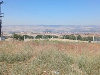 GÜVENAY - ÇORUM ESKİEKİN ÜST TARAFI SATILIK HOBİ BAHÇELERİ