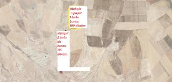 ULUKIŞLA  ALPAGUTTA   400 DÖNÜM  SATILIK TARLA