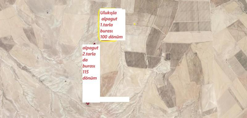 ULUKIŞLA  ALPAGUTTA   400 DÖNÜM  SATILIK TARLA