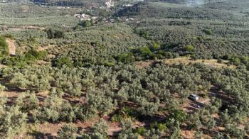 EMLAK HABERCİSİ 'NDEN MUDANYA TALATBEY 'DE FULL DENİZ MANZARALI, RESMİ YOLA CEPHE SATILIK 7 DÖNÜM ZEYTİNLİK