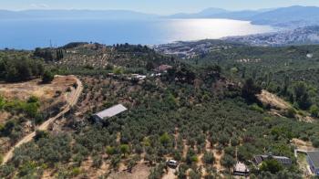 EMLAK HABERCİSİ 'NDEN MUDANYA İMARA YAKIN FULL DENİZ MANZARALI, RESMİ YOLA CEPHE SATILIK YATIRIMLIK 5 DÖNÜM ZEYTİNLİK