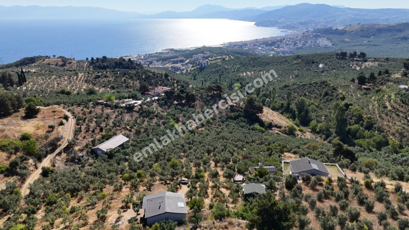 EMLAK HABERCİSİ 'NDEN MUDANYA İMARA YAKIN FULL DENİZ MANZARALI, RESMİ YOLA CEPHE SATILIK YATIRIMLIK 5 DÖNÜM ZEYTİNLİK