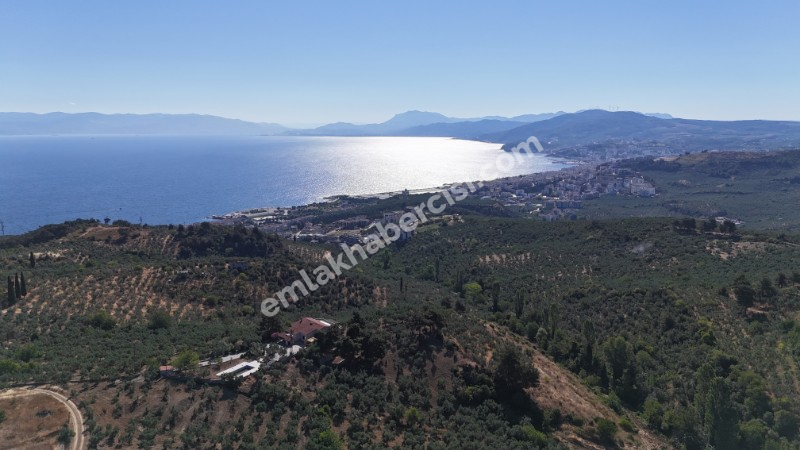 EMLAK HABERCİSİ 'NDEN MUDANYA İMARA YAKIN FULL DENİZ MANZARALI, RESMİ YOLA CEPHE SATILIK YATIRIMLIK 5 DÖNÜM ZEYTİNLİK