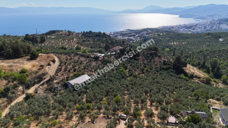 EMLAK HABERCİSİ 'NDEN MUDANYA İMARA YAKIN FULL DENİZ MANZARALI, RESMİ YOLA CEPHE SATILIK YATIRIMLIK 5 DÖNÜM ZEYTİNLİK