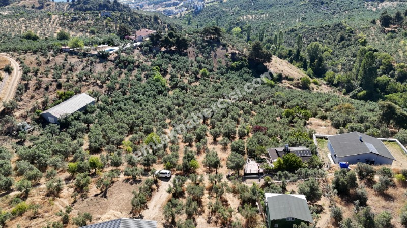 EMLAK HABERCİSİ 'NDEN MUDANYA İMARA YAKIN FULL DENİZ MANZARALI, RESMİ YOLA CEPHE SATILIK YATIRIMLIK 5 DÖNÜM ZEYTİNLİK