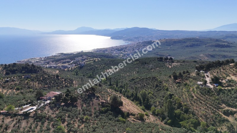 EMLAK HABERCİSİ 'NDEN MUDANYA İMARA YAKIN FULL DENİZ MANZARALI, RESMİ YOLA CEPHE SATILIK YATIRIMLIK 5 DÖNÜM ZEYTİNLİK