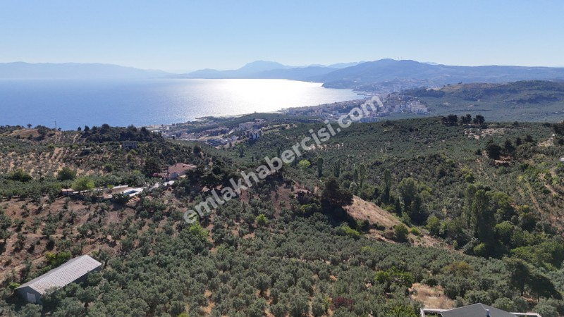 EMLAK HABERCİSİ 'NDEN MUDANYA İMARA YAKIN FULL DENİZ MANZARALI, RESMİ YOLA CEPHE SATILIK YATIRIMLIK 5 DÖNÜM ZEYTİNLİK