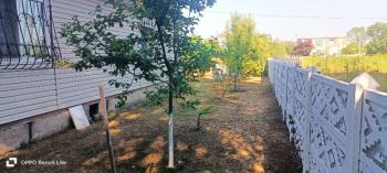 Satılık müstakil çelik konstrüksiyon Çelik panel ev Düzce alacamescit orman mh Çilimli 500 MT kare arsa içinde 120 MT kare ev 3+1 