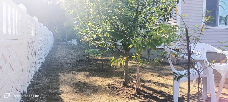 Satılık müstakil çelik konstrüksiyon Çelik panel ev Düzce alacamescit orman mh Çilimli 500 MT kare arsa içinde 120 MT kare ev 3+1 
