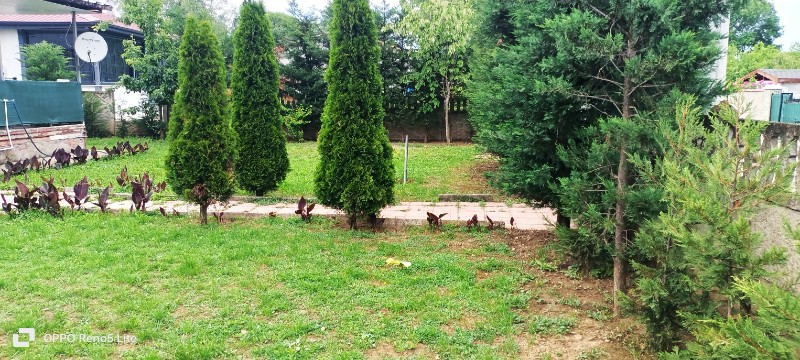 Satılık müstakil çelik konstrüksiyon Çelik panel ev Düzce alacamescit orman mh Çilimli 500 MT kare arsa içinde 120 MT kare ev 3+1 