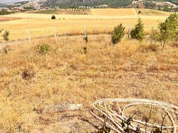 GÜVENAY – ÇORUM İSKİLİP YOLU 10 KM. SATILIK EVLİ HOBİ BAHÇESİ