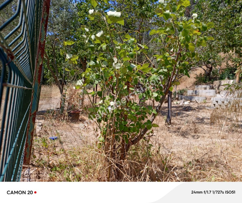 EMLAK HABERCİSİ 'NDEN MUDANYA ÖMERBEY MERKEZDE, DOĞA İLE İÇİÇE, SAHİLE 500 METRE VİLLA İMARLI ARSA