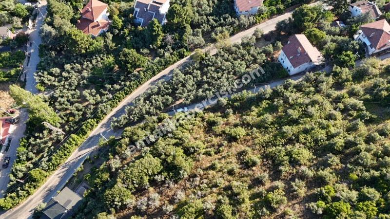 EMLAK HABERCİSİ 'NDEN MUDANYA KUMYAKA MERKEZDE, FULL DENİZ MANZARALI, KÖYİÇİNE SINIR, YATIRIMLIK 3.900 M2 ARAZİ
