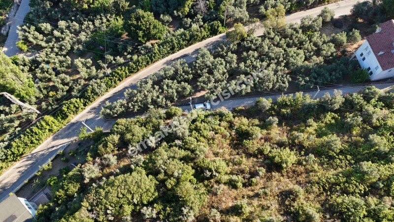 EMLAK HABERCİSİ 'NDEN MUDANYA KUMYAKA MERKEZDE, FULL DENİZ MANZARALI, KÖYİÇİNE SINIR, YATIRIMLIK 3.900 M2 ARAZİ