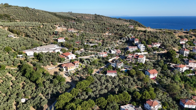 EMLAK HABERCİSİ 'NDEN MUDANYA KUMYAKA MERKEZDE, FULL DENİZ MANZARALI, KÖYİÇİNE SINIR, YATIRIMLIK 3.900 M2 ARAZİ