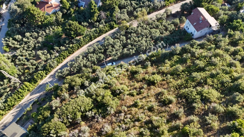 EMLAK HABERCİSİ 'NDEN MUDANYA KUMYAKA MERKEZDE, FULL DENİZ MANZARALI, KÖYİÇİNE SINIR, YATIRIMLIK 3.900 M2 ARAZİ
