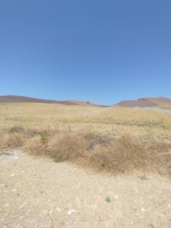 GÜVENAY – ÇORUM KURUÇAY SİLİMKENT MEVKİİNDE SATILIK ARSA