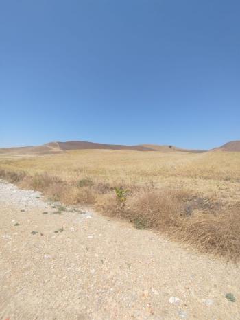 GÜVENAY – ÇORUM KURUÇAY SİLİMKENT MEVKİİNDE SATILIK ARSA