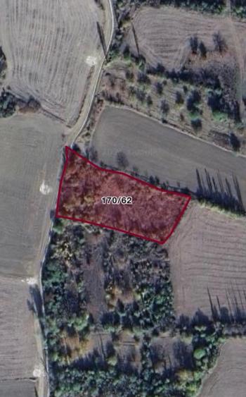 GÜVENAY - ÇORUM İnalözü Koca Bağlar Mevkii'nde 3210 m² Satılık Tarla!