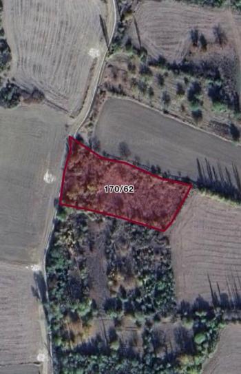 GÜVENAY - ÇORUM İnalözü Koca Bağlar Mevkii'nde 3210 m² Satılık Tarla!