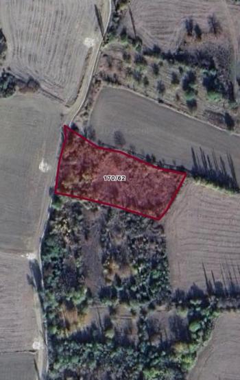 GÜVENAY - ÇORUM İnalözü Koca Bağlar Mevkii'nde 3210 m² Satılık Tarla!