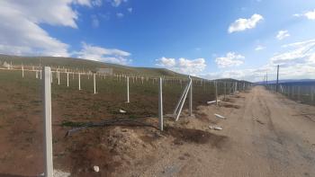 Güvenay - Çorum Sarmaşa Köyü Yanında Satılık Bahçe