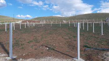 Güvenay - Çorum Sarmaşa Köyü Yanında Satılık Bahçe