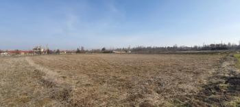 GÜVENAY - ÇORUM Merkez Boğabağı Köyü'nde 7178 m² Satılık Tarla!