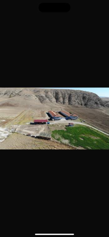 GÜVENAY - ÇORUM Bayat İlçesi Köpüklü Köyü'nde Hazır Kurulu Çiftlik!