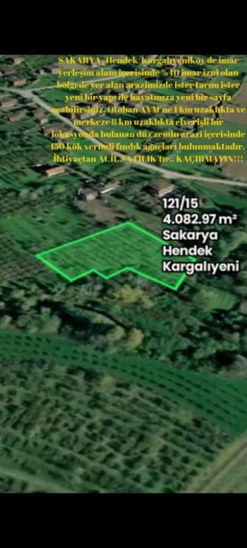 Sakarya Hendek Kargalıyeni Köyü'nde 4082 m² İmarlı Fındık Bahçesi – Yatırımlık Tarla!