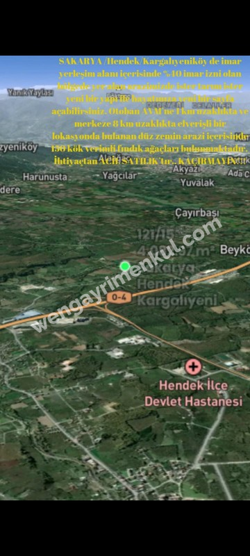 Sakarya Hendek Kargalıyeni Köyü'nde 4082 m² İmarlı Fındık Bahçesi – Yatırımlık Tarla!