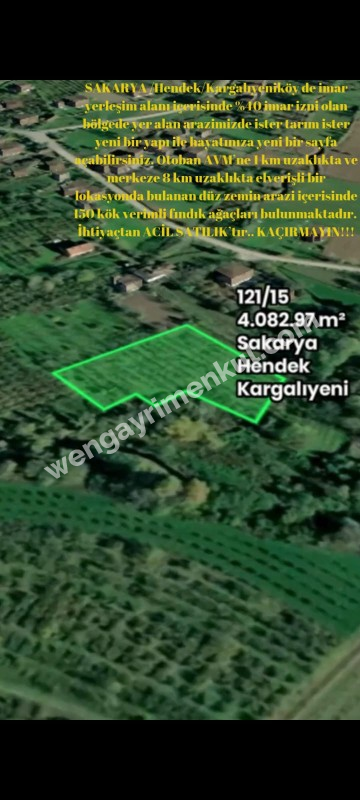 Sakarya Hendek Kargalıyeni Köyü'nde 4082 m² İmarlı Fındık Bahçesi – Yatırımlık Tarla!