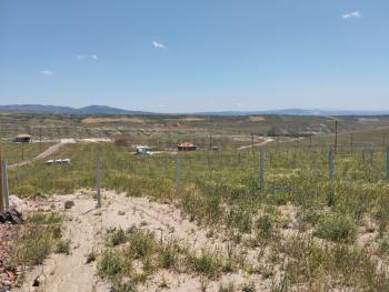 GÜVENAY - ÇORUM OSMANCIK YOLU SARMAŞA MEVKİİ SATILIK HOBİ BAHÇESİ